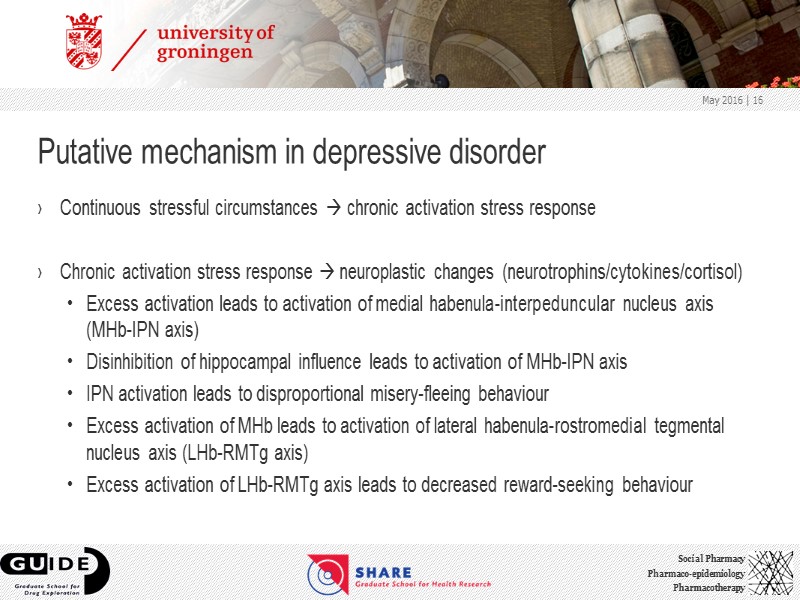 Putative mechanism in depressive disorder Continuous stressful circumstances  chronic activation stress response 